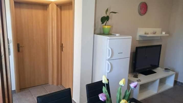 Apartment Dukic Sveti Filip i Jakov Exterior photo