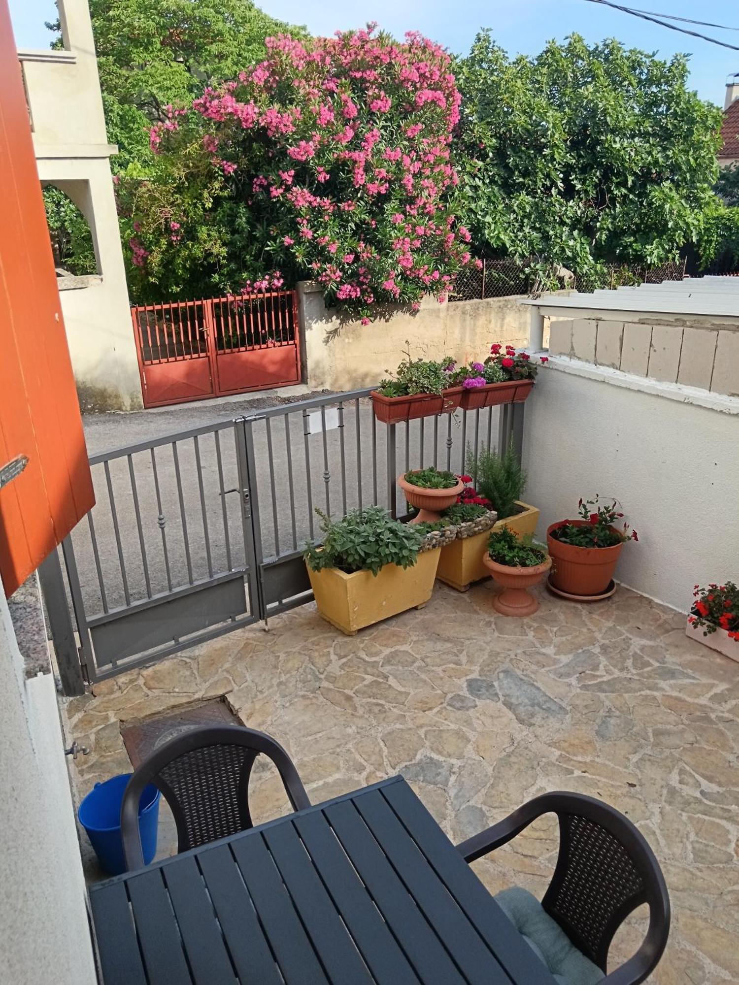 Apartment Dukic Sveti Filip i Jakov Exterior photo
